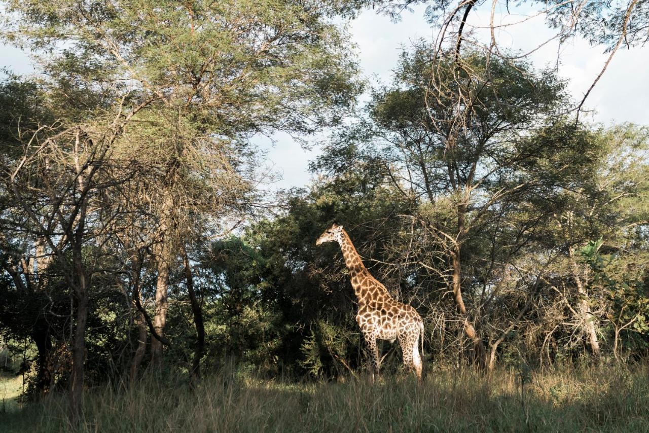 Tzaneen Country Lodge Экстерьер фото